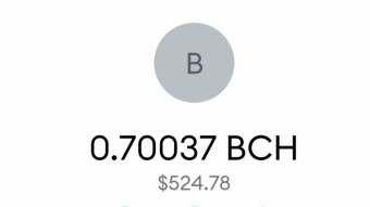 More Than $300 Profit From SmartBCH Tokens In Just 9 Days