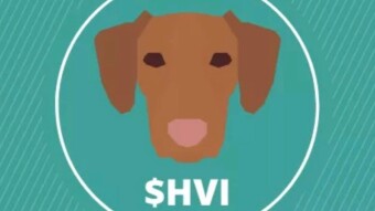 Hungarian Vizsla INU - your loyal friend in crypto