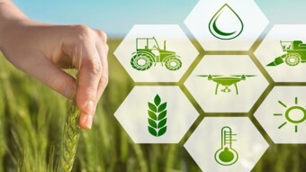 Trade $ 12 million wheat between the United States and Indonesia using blockchain