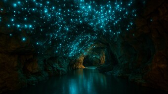 The Glowworm Caves of Waitomo, New Zealand