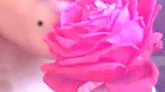 I have forgot you. I'll re-live my life again starting tomorrow I've erased the days i've lived loving you.