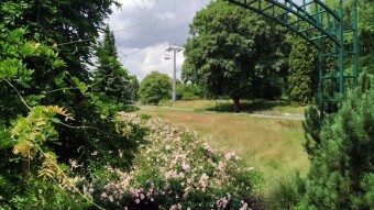 Another hot and dynamic day, this time with thunderstorms - My Actifit Report Card: July 15, 2025