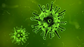 A few consequences of COVID-19