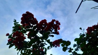 Nature photography