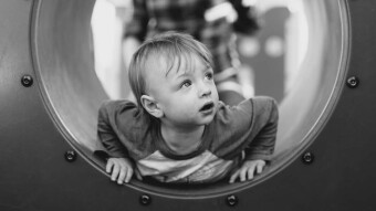 Business Lessons from the Inquisitive Mind