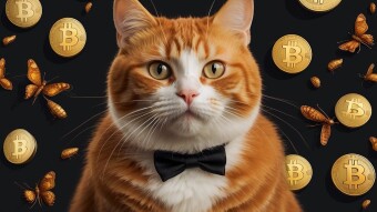 Is Cross Margin on Binance the Magic Money Machine You've Been Looking For?