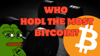 Bitcoin Giants: Who Holds the Most BTC Among Companies and Exchanges