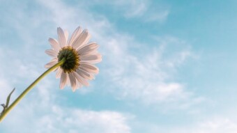Hope - When Your World Falls Apart.