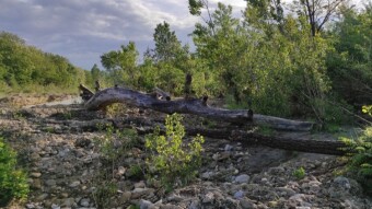 River Hiking - River Secchia (Northern Italy) (Part. 3 - Near the town of Sassuolo)