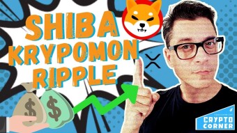 Shiba Burns 190 M Tokens + KryptoMon, Binance, Ripple & other Crypto Hot Topics