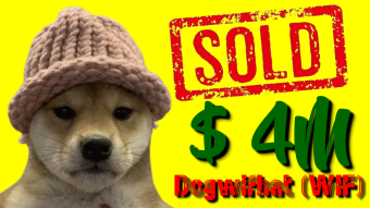 Original Dogwifhat Meme Sold For 4 Million Dollars.