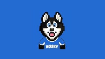 Hosky The Largest Meme Coin On The Cardano Network