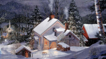 There is life in winter too