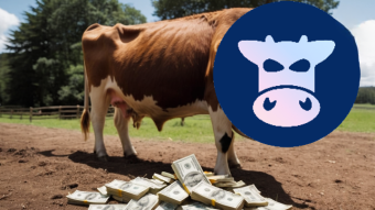 CowDAO’s Cash $COW