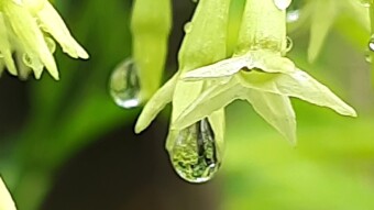My laughter, my tears, all surround you.Romantic Poetry.