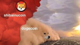 Shiba about to assassinate Dogecoin