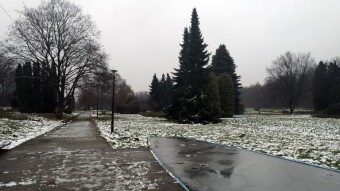 Tuesday's thaw and the first snow are practically gone - My Actifit Report Card: November 25, 2025