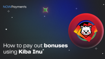 How to Pay out Bonuses in Kiba Inu?