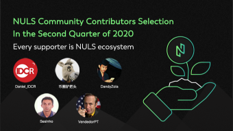 Top NULS Contributors of Q2 2020