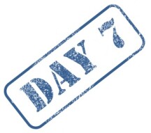 Day 7 : Day 6 results - 0,00025 BTC so far - 30% of passive income