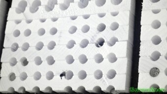 Mason Bees constructing homes - Infrared Photography