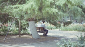 the strangers I wrote about