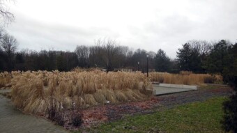Very strong wind, and quite dangerous in the park - My Actifit Report Card: January 25 2024