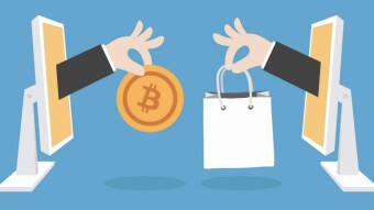 Fanning the Flames of Crypto Commerce: A Personal Take on Shopping.io and NOWPayments