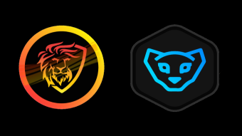 Good time to accumulate some Leo tokens