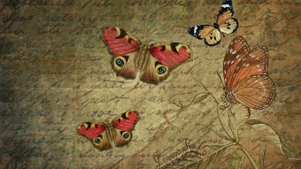 Poem - "A More Perfect Union"