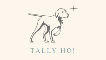 Tally Ho: The Simplest and Step-by-Step Guide in Web 3.0 Wallet