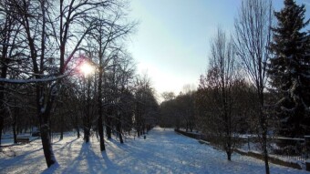 Frosty, fresh and dark in the morning, but a beautiful, sunny winter at noon - My Actifit Report Card: November 29 2023