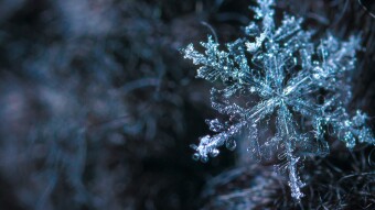 Is Crypto Winter Coming? Mike Ermolaev Explains, Picks The Top 4 Solana Gaming Coins