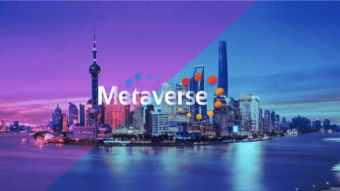Market Insight into Metaverse: Sleep Data Make Us Lie in Metaverse
