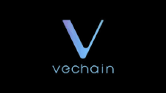 VET Vechain's Ability to Become #1
