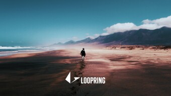 A move towards LoopRing, a second update