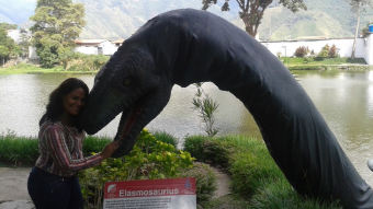 Holidays in Venezuela, Merida the city of mountains, snow and parks.