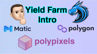 Intro To Yield Farming On Polygon with PolyDragon
