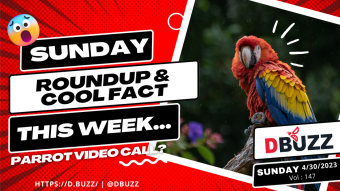 Recap of this Week's Posts by D.Buzz Vol.147