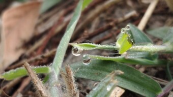 WATER DROP PHOTOGRAPHY