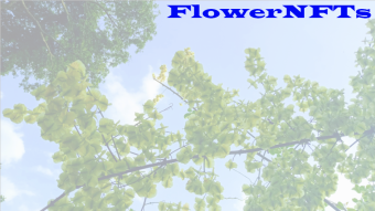Flower NFTs: Now you can own a piece of nature.