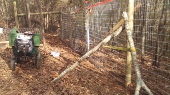 Apocalyptic Homesteading (Day 34-35)