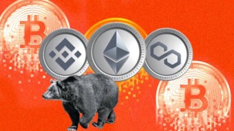 How to Survive and Thrive During The Crypto Bear Market