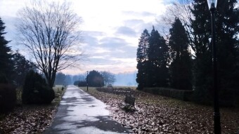 Warm and humid Wednesday - My Actifit Report Card: February 11, 2026