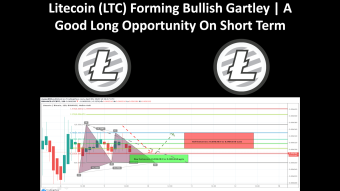 Litecoin (LTC) Forming Bullish Gartley | A Good Long Opportunity On Short Term