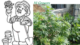 Garden Trash Vol.2. (2)