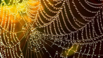 Web3 Proves That the World Wide Web Was Made for Creators