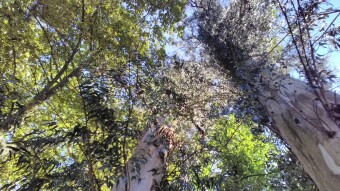 Vizela - the "Queen of Thermal Baths of Portugal"