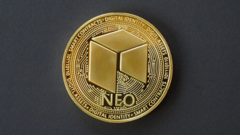 What is NEO? — 'Neo Kid on the Block' — Beginner's Guide
