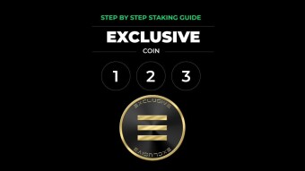 Exclusive Coin (EXCL) Staking Guide